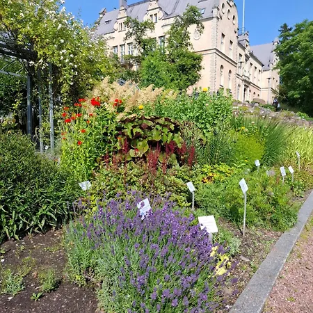 1br Cozy About 10 Min Walk To Center Lägenhet Helsingfors