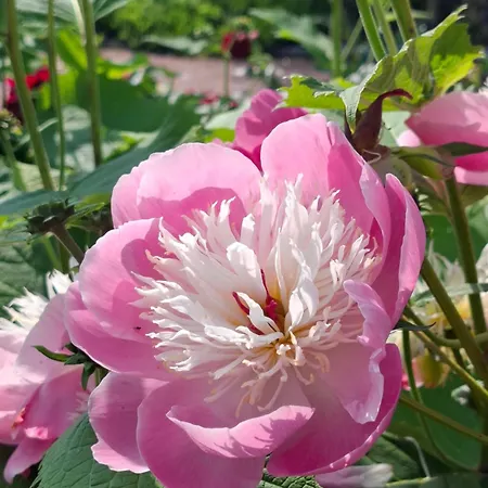 1br Cozy About 10 Min Walk To Center