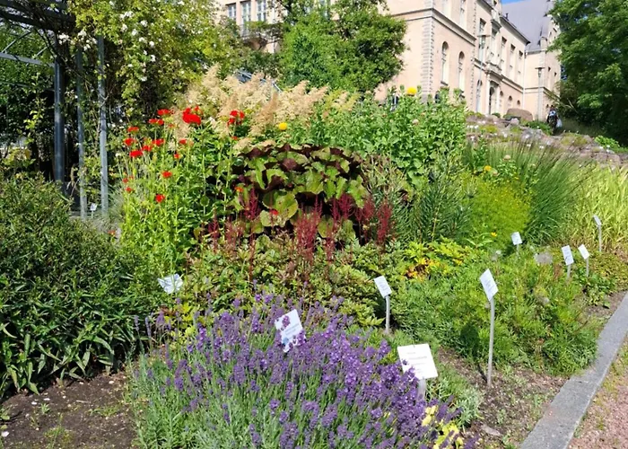 1br Cozy About 10 Min Walk To Center Apartment Helsinki